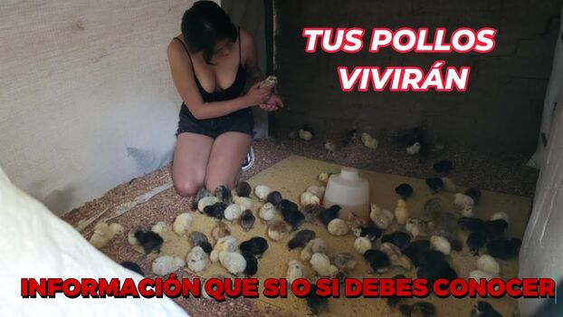 Full leaked La criadora de gallinas private onlyfans photo